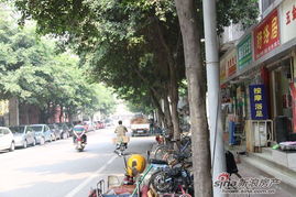 紅星國際圖片 四川房產(chǎn)