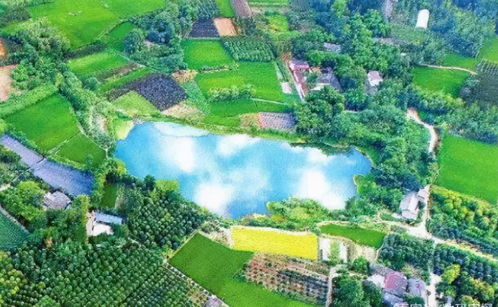 23億負債壓頂，22年老牌房企申請破產！阜陽房企承壓，四川地產亦現(xiàn)隱憂